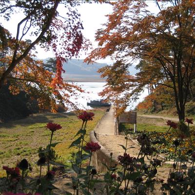 도산서원의 가을~ 첫번째 사진