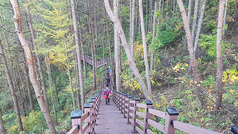 도산서원길