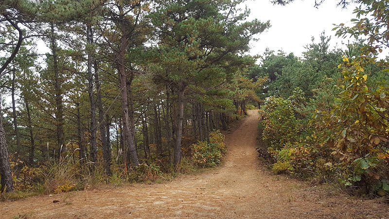 산림문학길