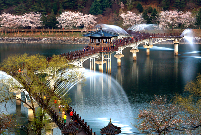 Weolyeong-gyo Tourist Information