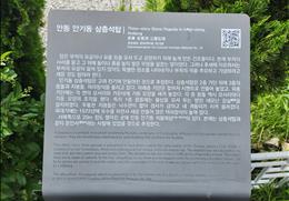 안동 안기동 삼층석탑