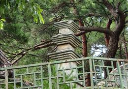 안동 이천동 삼층석탑