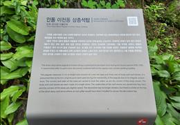 안동 이천동 삼층석탑