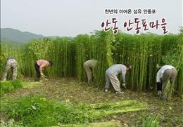 안동포길삼마을
