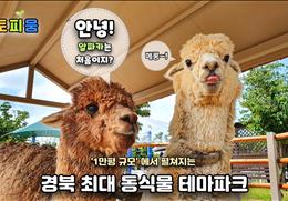 주토피움