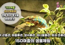 주토피움