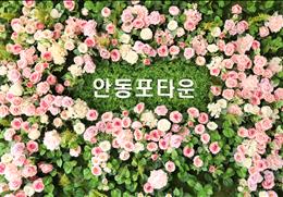안동포전시관