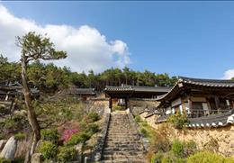 오천군자마을
