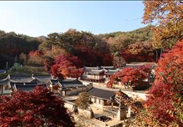 도산서원