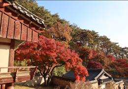 도산서원