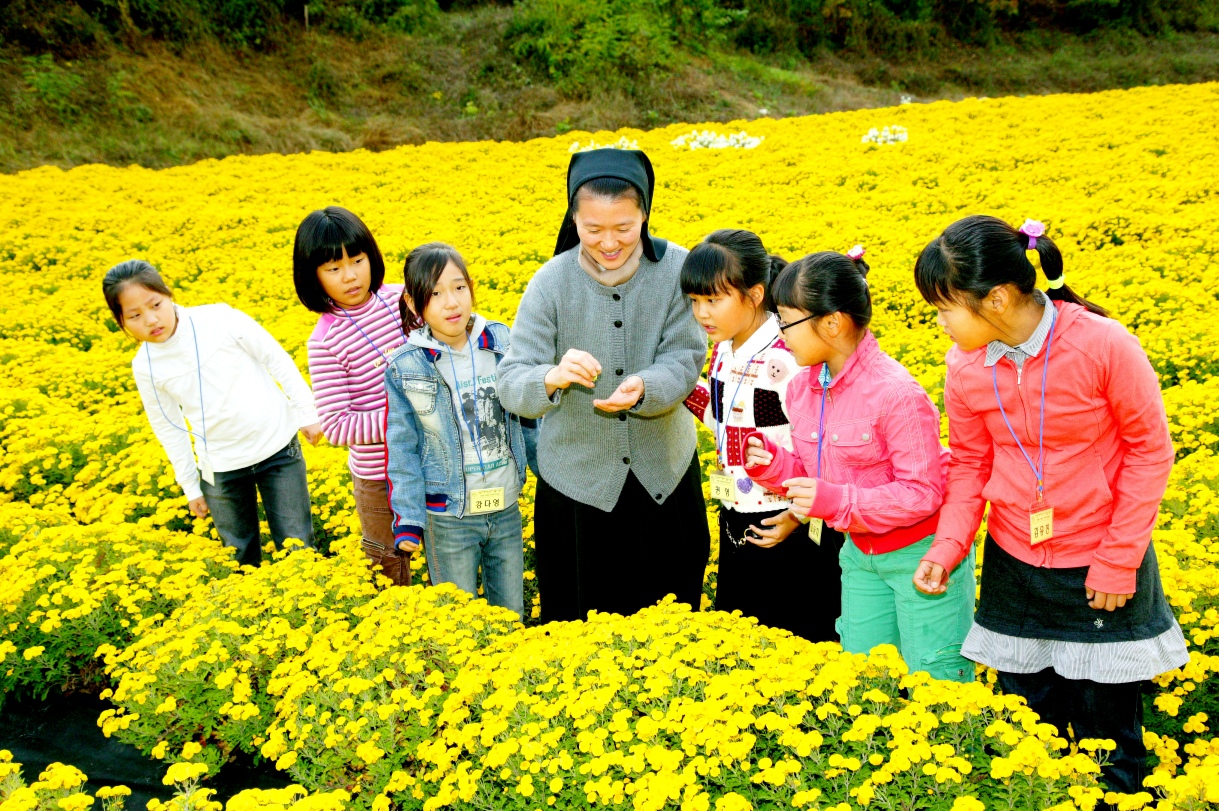 2010 안동서후봉정사국화대향연.