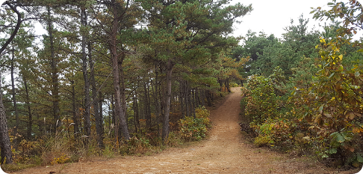 journeyCourseImg