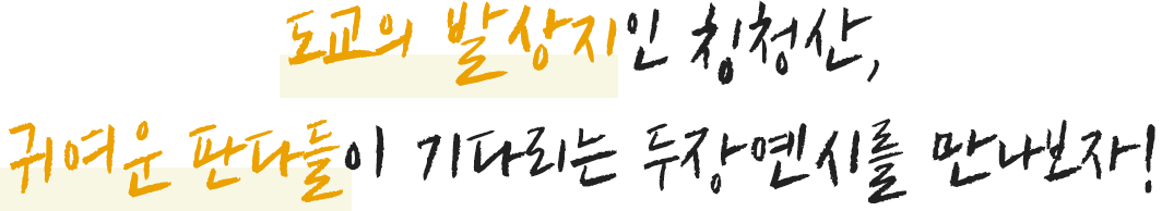 도교의 발상지인 칭청산, 그리고 귀여운 판다들이 기다리고있는 두장옌시를 만나보자!
