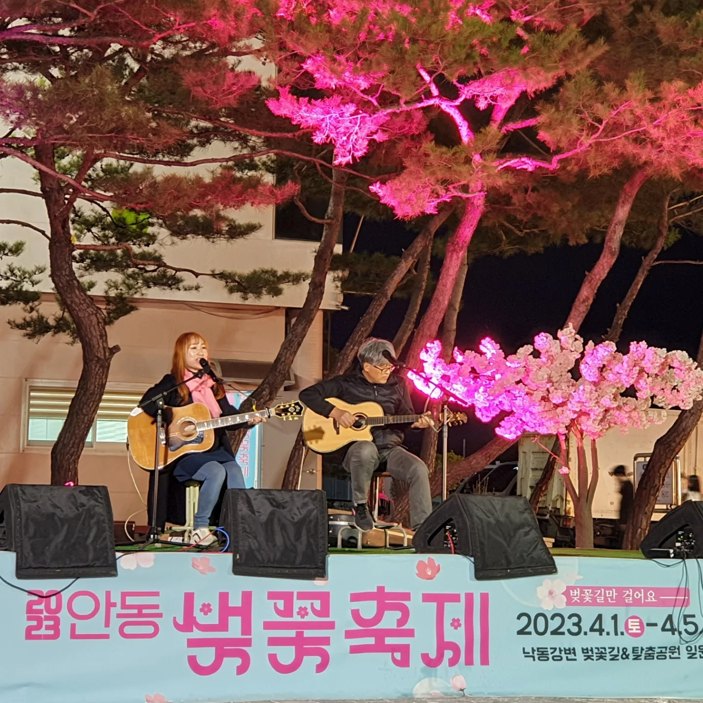 안동벚꽃축제